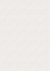 White paper texture background. High quality texture in extremely high resolution.Notebook Canvas