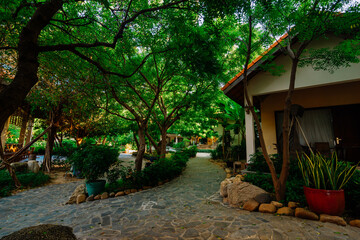 house in the woods