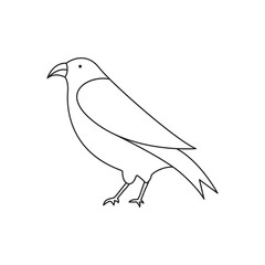 continuous line drawing bird.