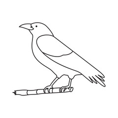Continuous One Line Draw Bird Vector illustration.