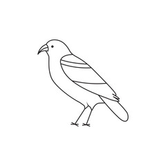 Continuous line bird drawing minimalism vector illustration