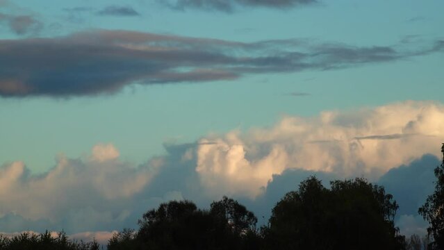 Cloud movement in timelapse over crones trees in the summer evening.