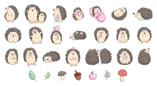 Cute hedgehog character. Happy forest animal. Vector drawing. Collection of design elements.