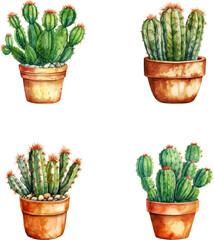 Watercolor illustration set cactus in flower pots