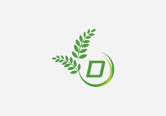Laurel wreath green leaf logo and Vintage wheat logo design monogram vector