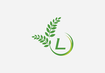 Laurel wreath green leaf logo and Vintage wheat logo design monogram vector