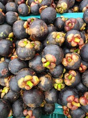 Products from Thai fruit agriculture, mangosteen from the farm.