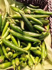 Agricultural produce, fresh pepper from the farm