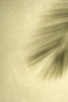 Natural shadows of palm leaves on a beige stucco wall. Vertical.