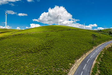 Green field with a road and wind turbines