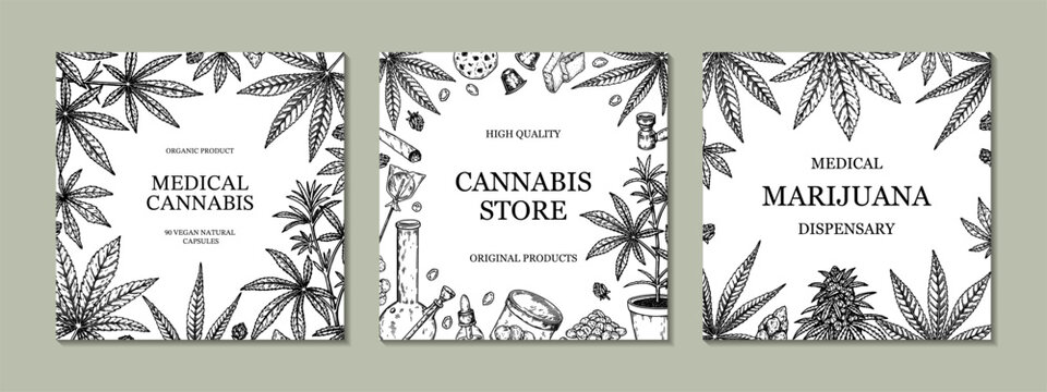 Cannabis square design for packaging, social media posts, store decoration, branding, certificates. Set of marijuana vector illustration in sketch style. Hemp engraved background