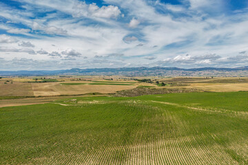 green field with mountain view