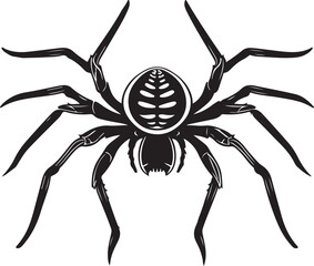 Vector illustration of black spider isolated on white background traditional Halloween decorative element Halloween silhouettes 