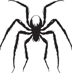 Vector illustration of black spider isolated on white background traditional Halloween decorative element Halloween silhouettes 