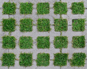 Concrete and grass pattern (detail) on public square floor