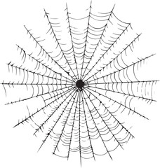 Black spider and Scary spiderweb halloween symbol Isolated on white vector illustration silhouette