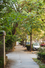 Early bright autumn day on the old historic street in the city center Novi Sad Serbia