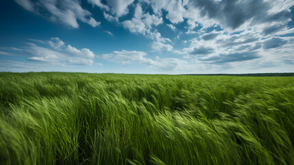 field of green grass stretching out into the distance wit generative AI