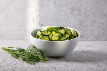 firscher Gurkensalat mit Dill im Studio fotografiert