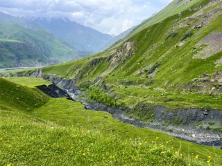 green slopes of grass in the mountains