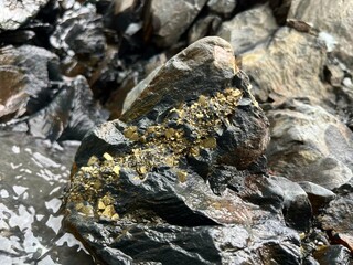 golden pyrite crystals in stone