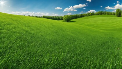 Obraz premium Spring summer background featuring beautiful panoramic natural landscape of green field with grass against blue sky with sun