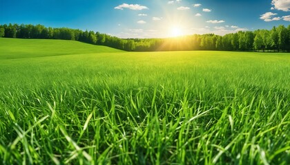 Obraz premium Spring summer background featuring beautiful panoramic natural landscape of green field with grass against blue sky with sun