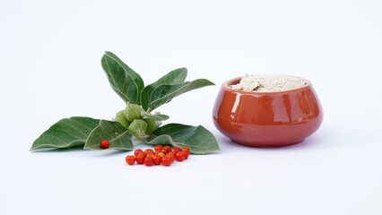Ashwagandha Dry Root Medicinal Herb with Fresh Leaves, also known as Withania Somnifera