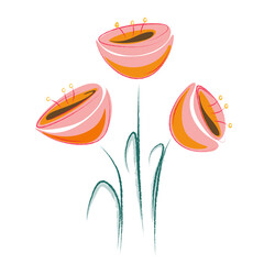 drawing of orange tulips 