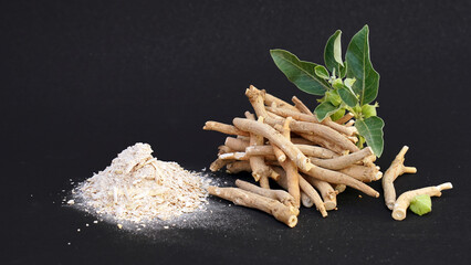 Root Withania somnifera, known commonly as ashwagandha, Indian ginseng, poison gooseberry or winter...