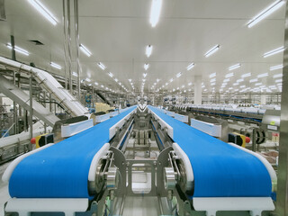 Empty conveyor belt in production line of food processing factory. Poultry processing industry. Raw...