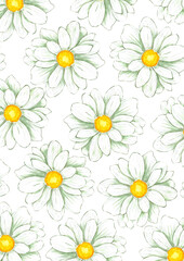 Hand drawn watercolor chamomile frame isolated on white background. Can be used for print, postcard, poster, book decoration and other printed products.