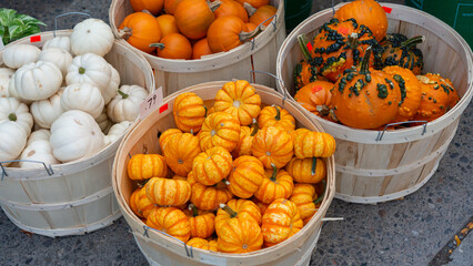 decorative or ornamental pumpkins or gourds in wooden bushel baskets on the pavement
