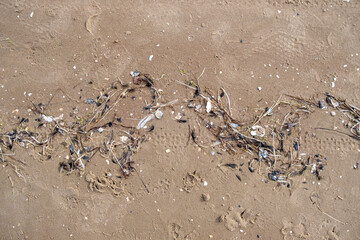 sand beach textured abstract