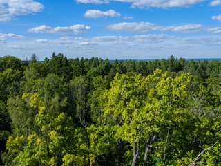 white rain clouds over countryside in summer