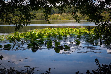 View on Lagoon Sobrado in Sobrado dos Monxes, en route of the Camino Santiago