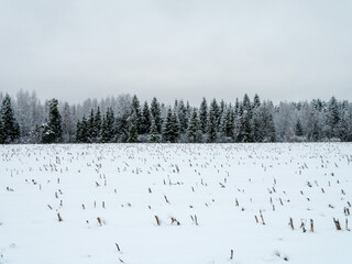 snow covered fields with frozen plants and animal trails