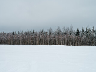 snow covered fields with frozen plants and animal trails