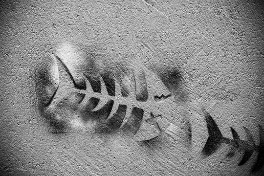 Pochoir sur un mur repr&eacute;sentant un squelette de poisson dr&ocirc;le