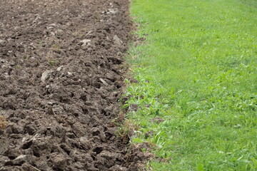Boundary between ploughed acre and green grass