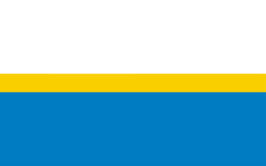 Flag of Czestochowa - obrazy, fototapety, plakaty
