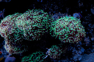 Underwater