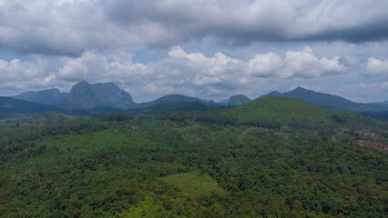 Fototapeta na wymiar aerial view of forests and mountains being cut open for road construction in South Kalimantan