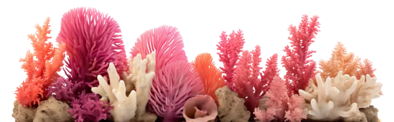 Zelfklevend Fotobehang Bestemmingen Coral reef cut out