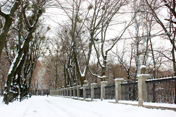Deserted snowy sidewalk goes into distance in winter park at freezing cold day. Walking path in park with bare branched trees, black trunks. Stone metal fence along a pathwalk. Wintry landscape. 