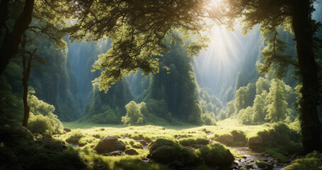 Sunshine over a serene meadow with a creek in the valley..