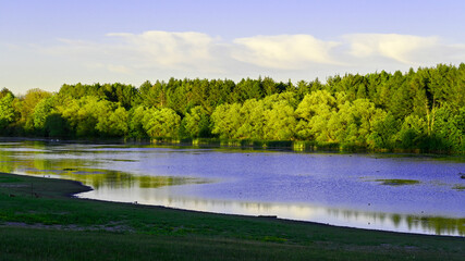 landscape with river and trees