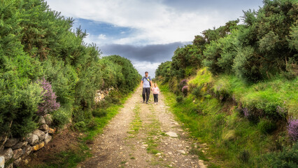 Father and daughter walking on country road surrounded by colourful heathers and bushes. Family...