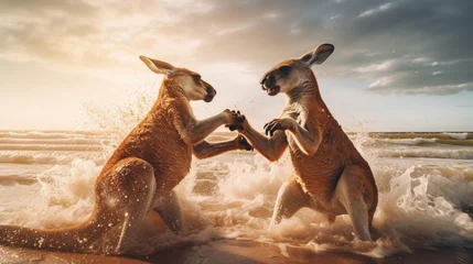 Gordijnen Witness a beautiful close-up of two kangroo fighting on the shore © Pretty Panda