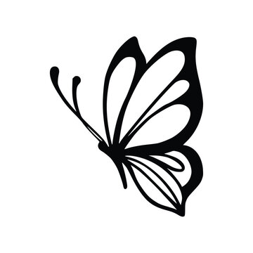 Butterfly Outline Images – Browse 77,056 Stock Photos, Vectors, and Video |  Adobe Stock